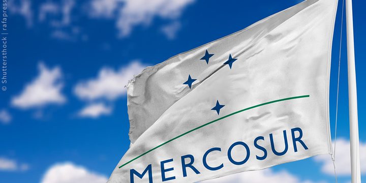 Mercosur Flag