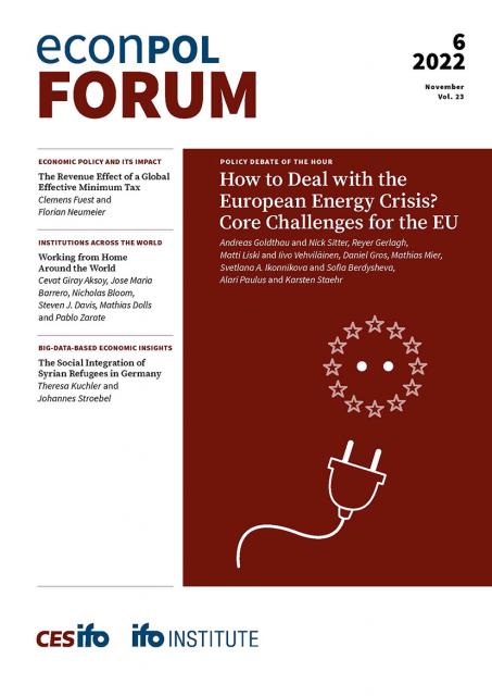 Cover of EconPol Forum 6/2022