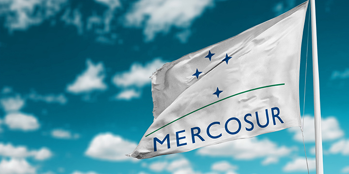 flag of mercosur